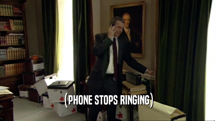 (PHONE STOPS RINGING)  