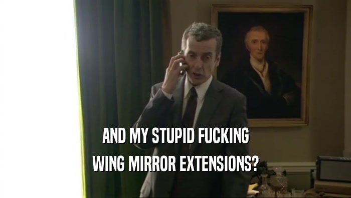 AND MY STUPID FUCKING WING MIRROR EXTENSIONS? 