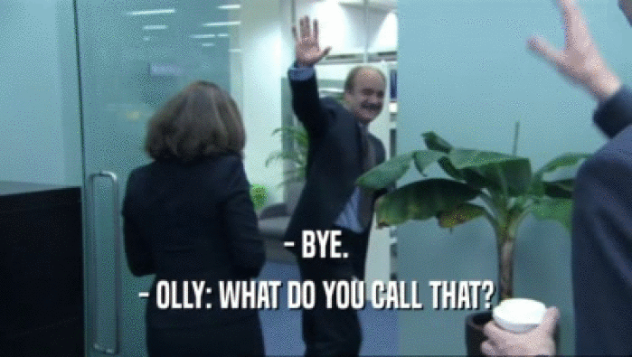 - BYE. - OLLY: WHAT DO YOU CALL THAT? 