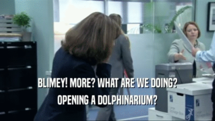 BLIMEY! MORE? WHAT ARE WE DOING? OPENING A DOLPHINARIUM? 