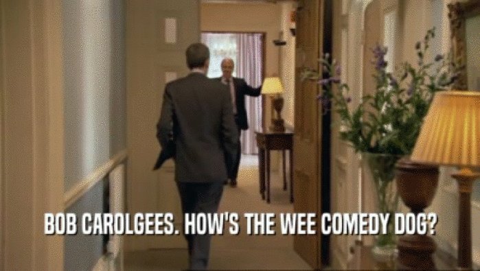 BOB CAROLGEES. HOW'S THE WEE COMEDY DOG?  
