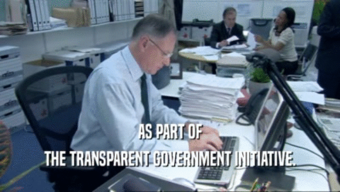 AS PART OF THE TRANSPARENT GOVERNMENT INITIATIVE. 