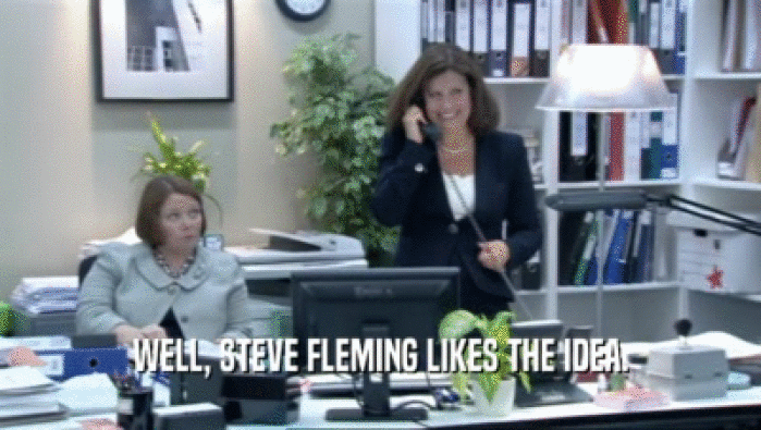 WELL, STEVE FLEMING LIKES THE IDEA.
  