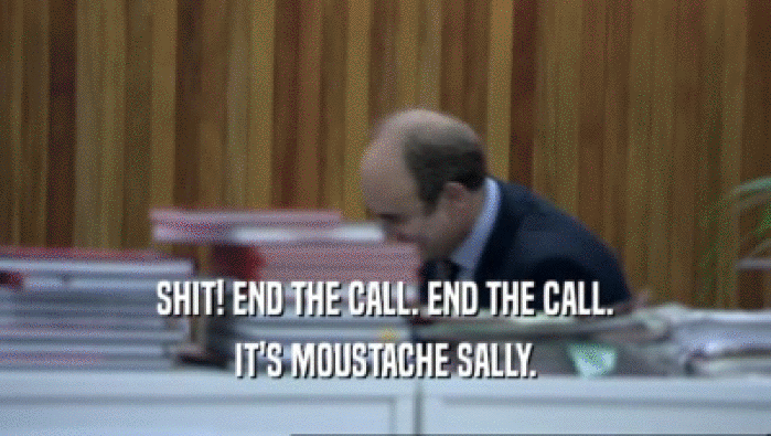SHIT! END THE CALL. END THE CALL. IT'S MOUSTACHE SALLY. 