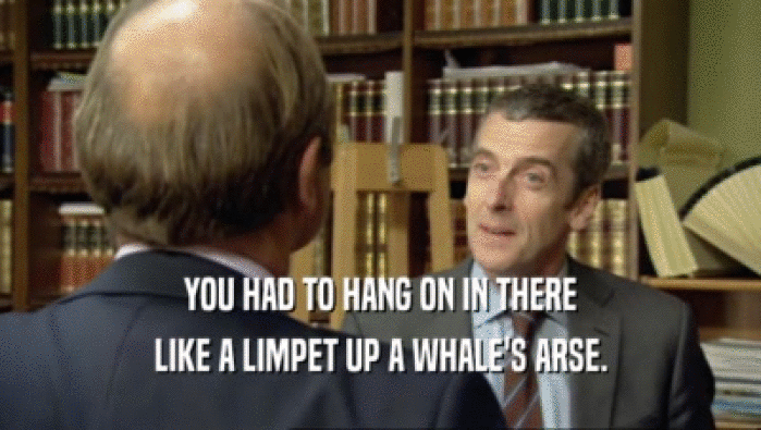 YOU HAD TO HANG ON IN THERE LIKE A LIMPET UP A WHALE'S ARSE. 
