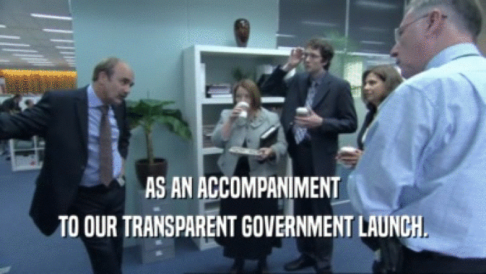 AS AN ACCOMPANIMENT TO OUR TRANSPARENT GOVERNMENT LAUNCH. 