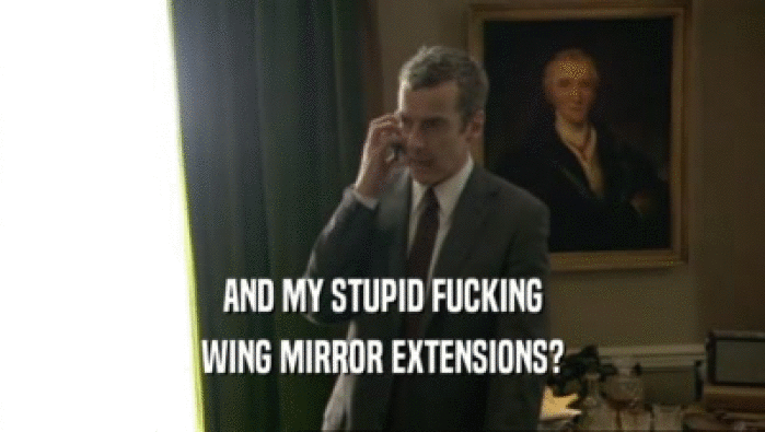 AND MY STUPID FUCKING WING MIRROR EXTENSIONS? 