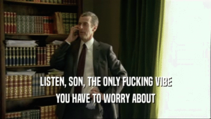 LISTEN, SON, THE ONLY FUCKING VIBE YOU HAVE TO WORRY ABOUT 