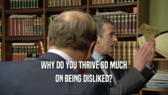 WHY DO YOU THRIVE SO MUCH ON BEING DISLIKED? 