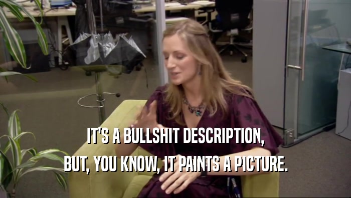IT'S A BULLSHIT DESCRIPTION, BUT, YOU KNOW, IT PAINTS A PICTURE. 