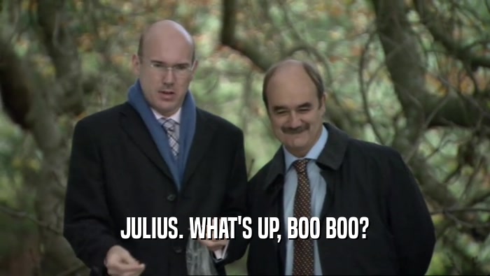 JULIUS. WHAT'S UP, BOO BOO?  