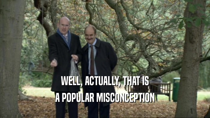 WELL, ACTUALLY, THAT IS A POPULAR MISCONCEPTION 