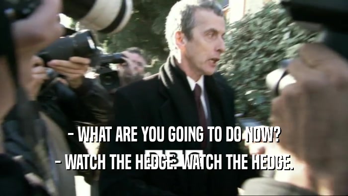 - WHAT ARE YOU GOING TO DO NOW?
 - WATCH THE HEDGE. WATCH THE HEDGE.
 