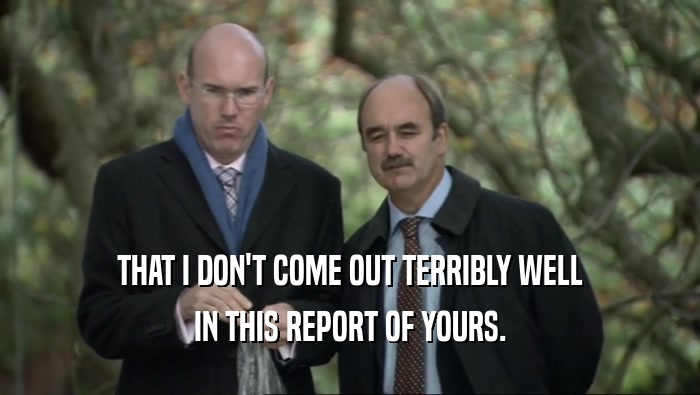 THAT I DON'T COME OUT TERRIBLY WELL IN THIS REPORT OF YOURS. 