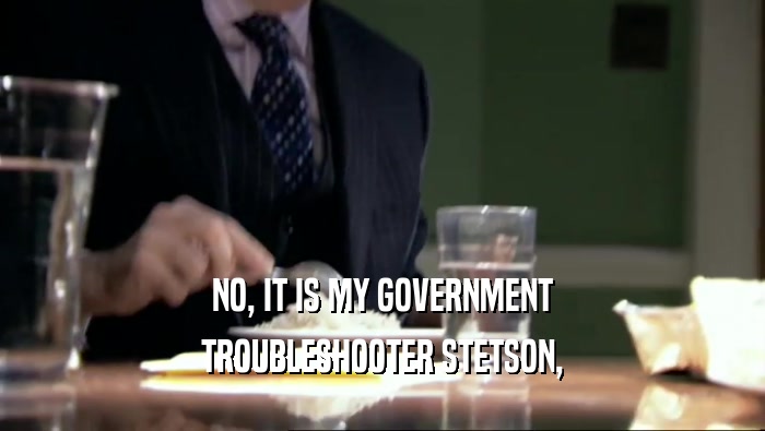 NO, IT IS MY GOVERNMENT TROUBLESHOOTER STETSON, 