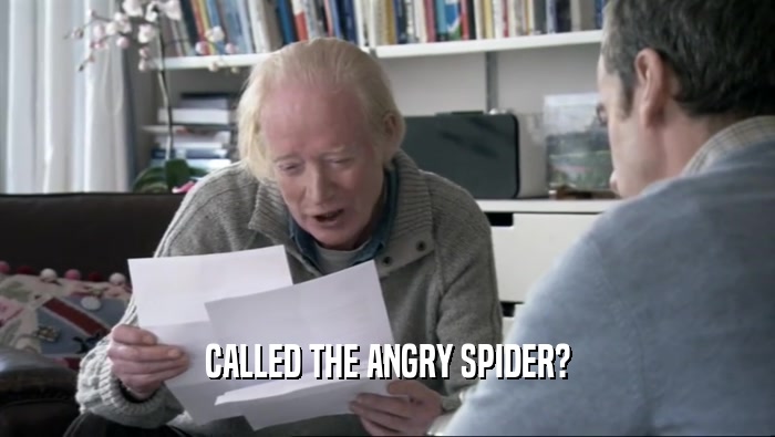 CALLED THE ANGRY SPIDER?  