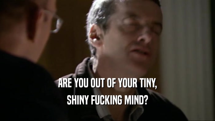 ARE YOU OUT OF YOUR TINY, SHINY FUCKING MIND? 