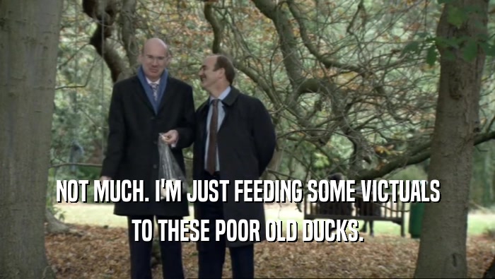 NOT MUCH. I'M JUST FEEDING SOME VICTUALS TO THESE POOR OLD DUCKS. 