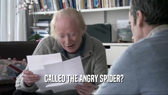 CALLED THE ANGRY SPIDER?  
