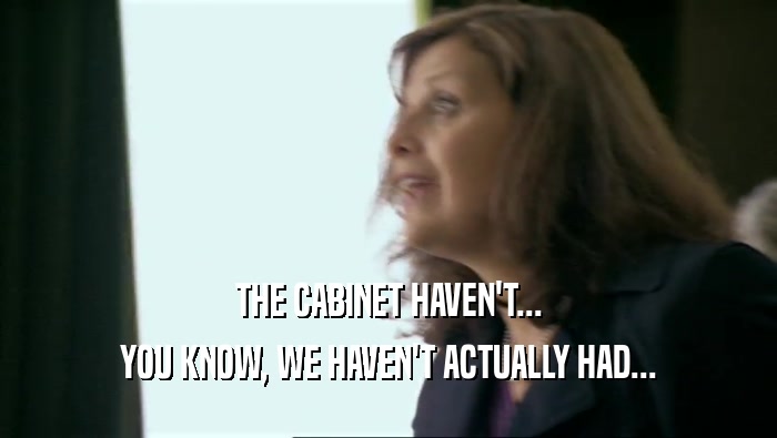 THE CABINET HAVEN'T... YOU KNOW, WE HAVEN'T ACTUALLY HAD... 