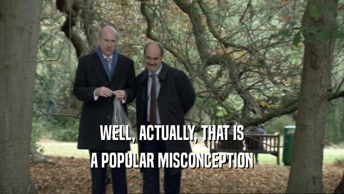WELL, ACTUALLY, THAT IS A POPULAR MISCONCEPTION 