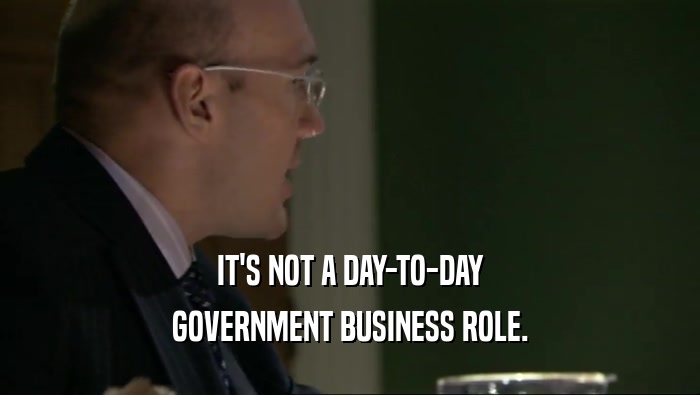 IT'S NOT A DAY-TO-DAY
 GOVERNMENT BUSINESS ROLE.
 