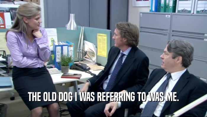 THE OLD DOG I WAS REFERRING TO WAS ME.  