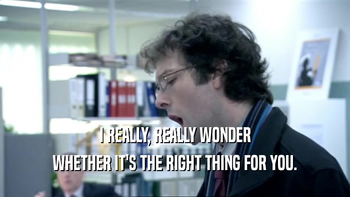 I REALLY, REALLY WONDER WHETHER IT'S THE RIGHT THING FOR YOU. 