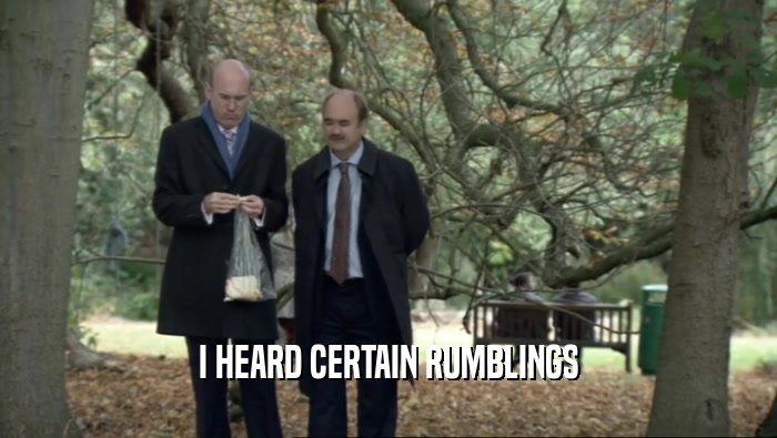 I HEARD CERTAIN RUMBLINGS  