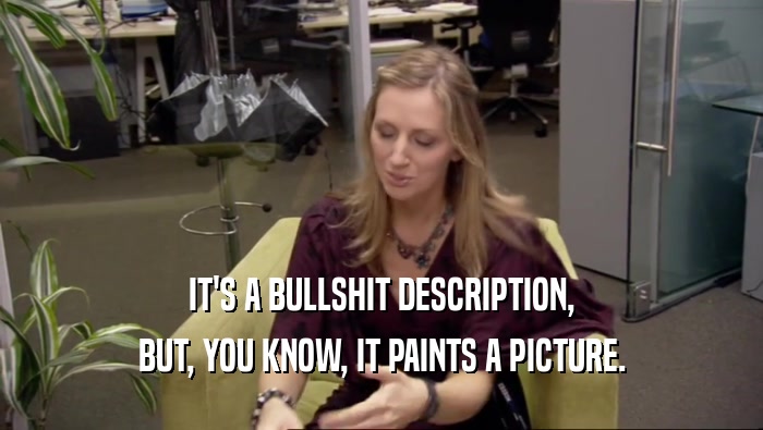 IT'S A BULLSHIT DESCRIPTION, BUT, YOU KNOW, IT PAINTS A PICTURE. 