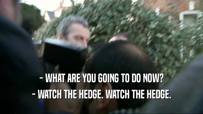 - WHAT ARE YOU GOING TO DO NOW?
 - WATCH THE HEDGE. WATCH THE HEDGE.
 