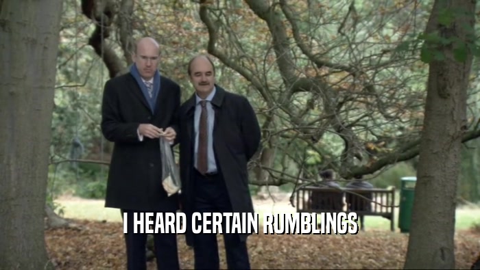 I HEARD CERTAIN RUMBLINGS  