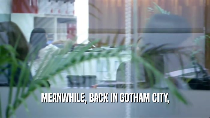 MEANWHILE, BACK IN GOTHAM CITY,  