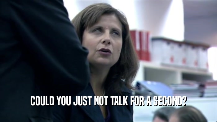 COULD YOU JUST NOT TALK FOR A SECOND?  