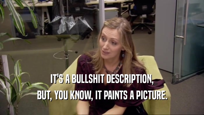 IT'S A BULLSHIT DESCRIPTION, BUT, YOU KNOW, IT PAINTS A PICTURE. 