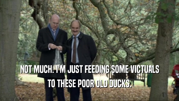 NOT MUCH. I'M JUST FEEDING SOME VICTUALS TO THESE POOR OLD DUCKS. 