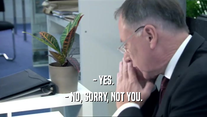 - YES. - NO, SORRY, NOT YOU. 