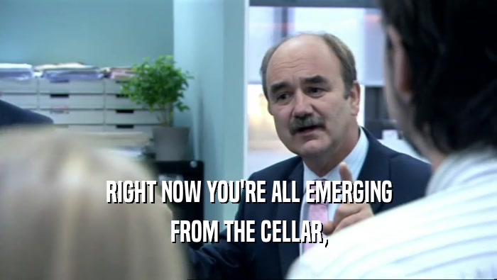 RIGHT NOW YOU'RE ALL EMERGING FROM THE CELLAR, 