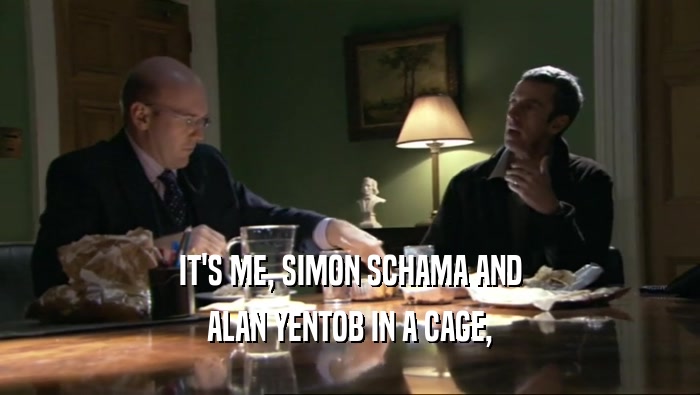 IT'S ME, SIMON SCHAMA AND ALAN YENTOB IN A CAGE, 