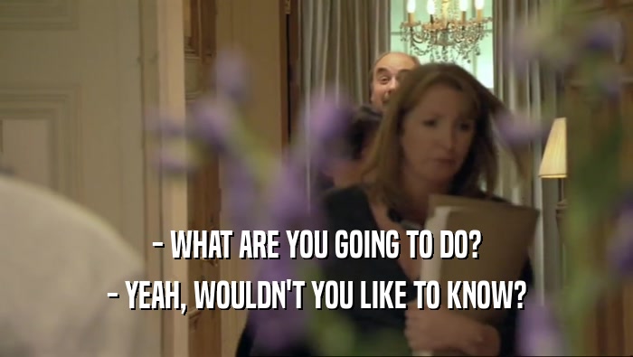 - WHAT ARE YOU GOING TO DO? - YEAH, WOULDN'T YOU LIKE TO KNOW? 