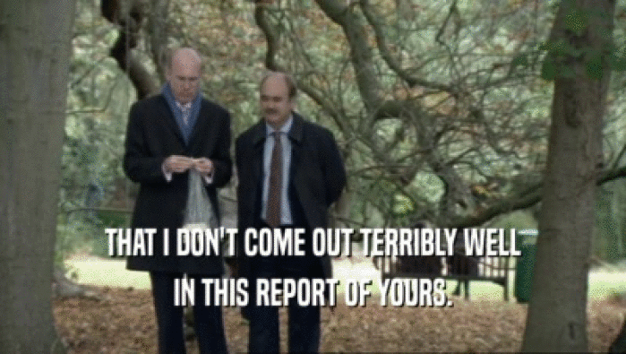 THAT I DON'T COME OUT TERRIBLY WELL IN THIS REPORT OF YOURS. 