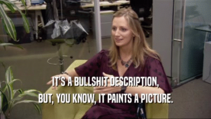 IT'S A BULLSHIT DESCRIPTION, BUT, YOU KNOW, IT PAINTS A PICTURE. 