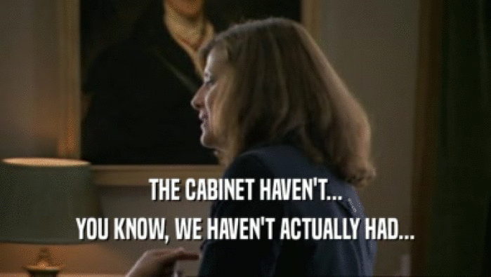 THE CABINET HAVEN'T... YOU KNOW, WE HAVEN'T ACTUALLY HAD... 