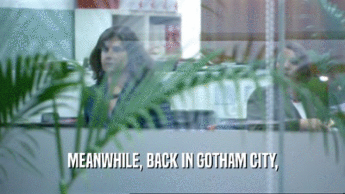 MEANWHILE, BACK IN GOTHAM CITY,
  