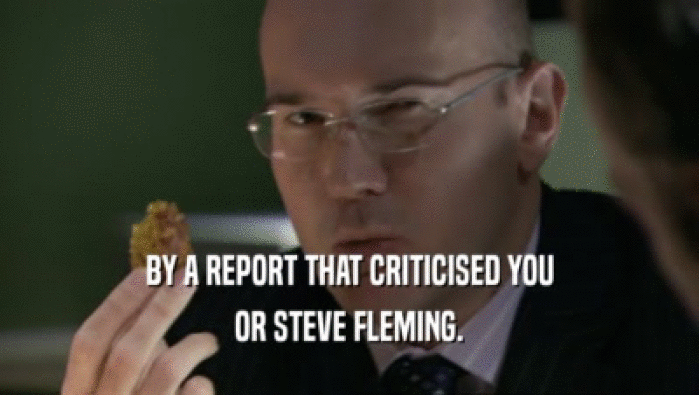 BY A REPORT THAT CRITICISED YOU
 OR STEVE FLEMING.
 