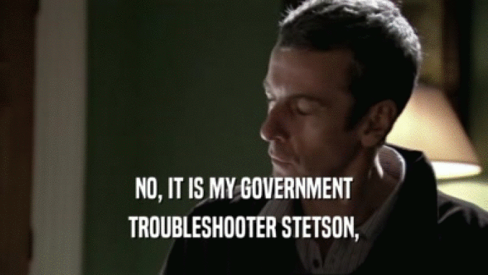 NO, IT IS MY GOVERNMENT TROUBLESHOOTER STETSON, 