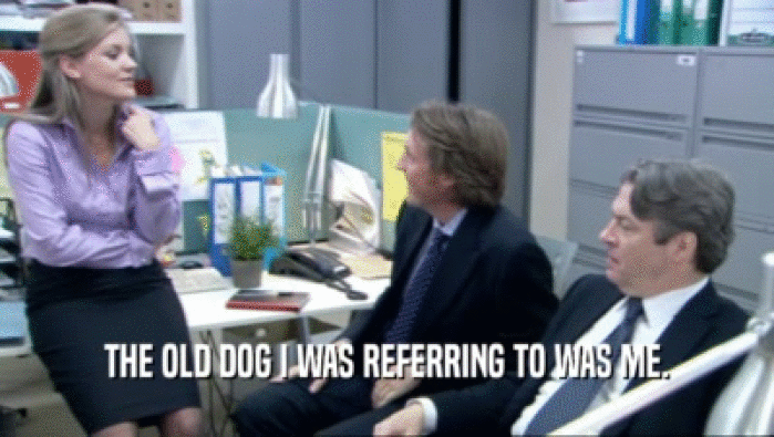 THE OLD DOG I WAS REFERRING TO WAS ME.  