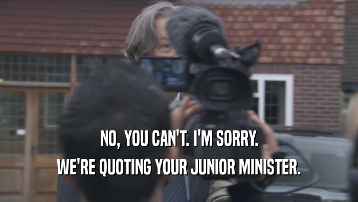 NO, YOU CAN'T. I'M SORRY. WE'RE QUOTING YOUR JUNIOR MINISTER. 