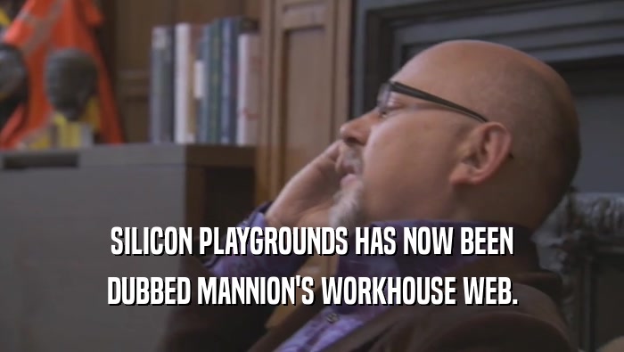 SILICON PLAYGROUNDS HAS NOW BEEN DUBBED MANNION'S WORKHOUSE WEB. 