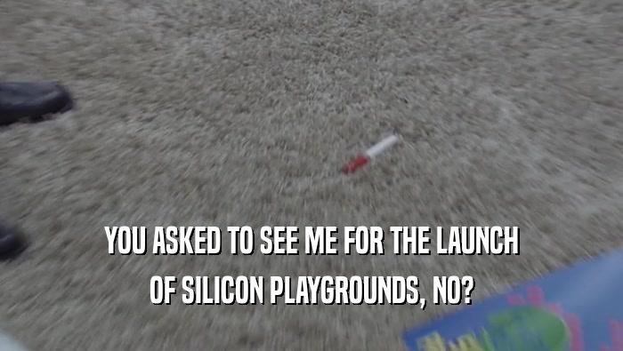 YOU ASKED TO SEE ME FOR THE LAUNCH OF SILICON PLAYGROUNDS, NO? 